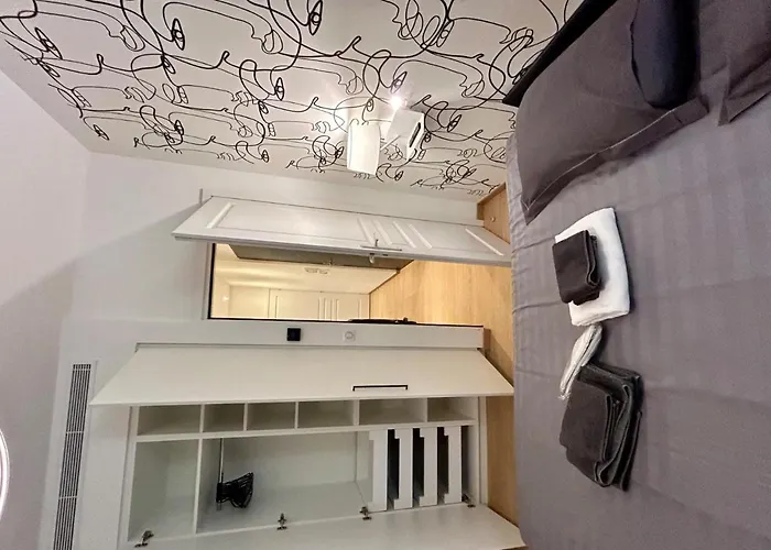 Splendid 1 Bedroom And 1 Sofabed Renovated 2p3 By Rivaevent Daire