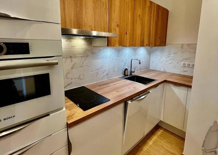 Daire Splendid 1 Bedroom And 1 Sofabed Renovated 2p3 By Rivaevent *